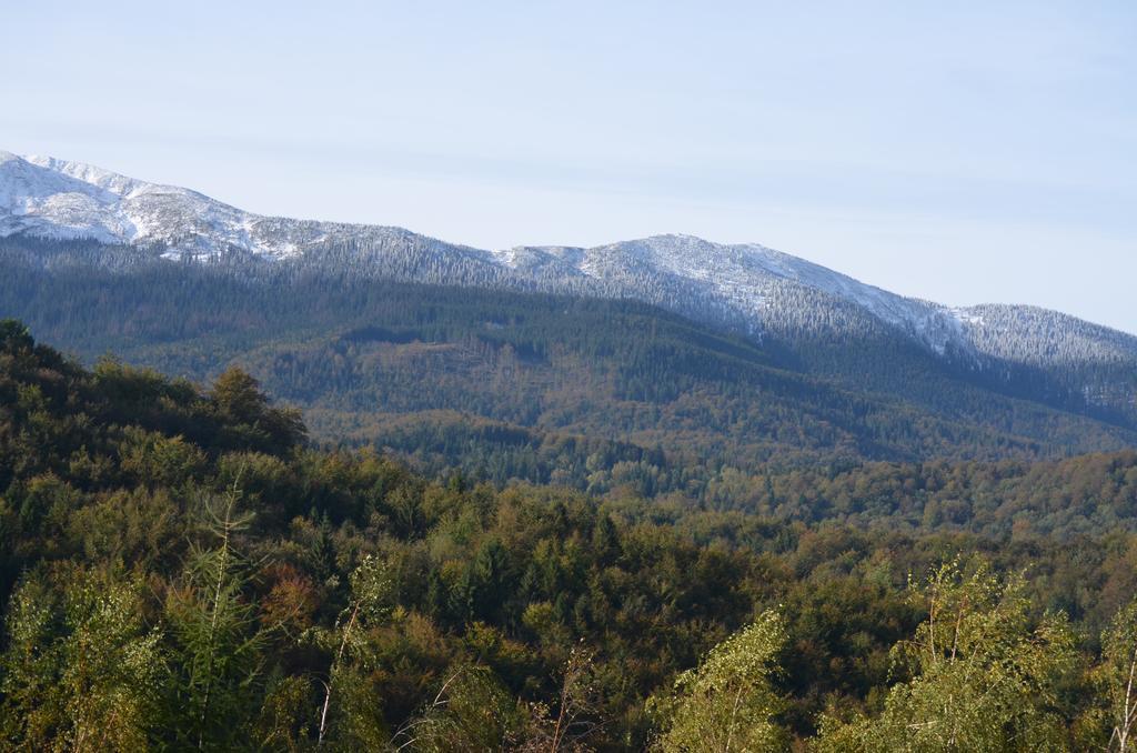Dom Na Mosornym Groniu Zawoja Exterior foto