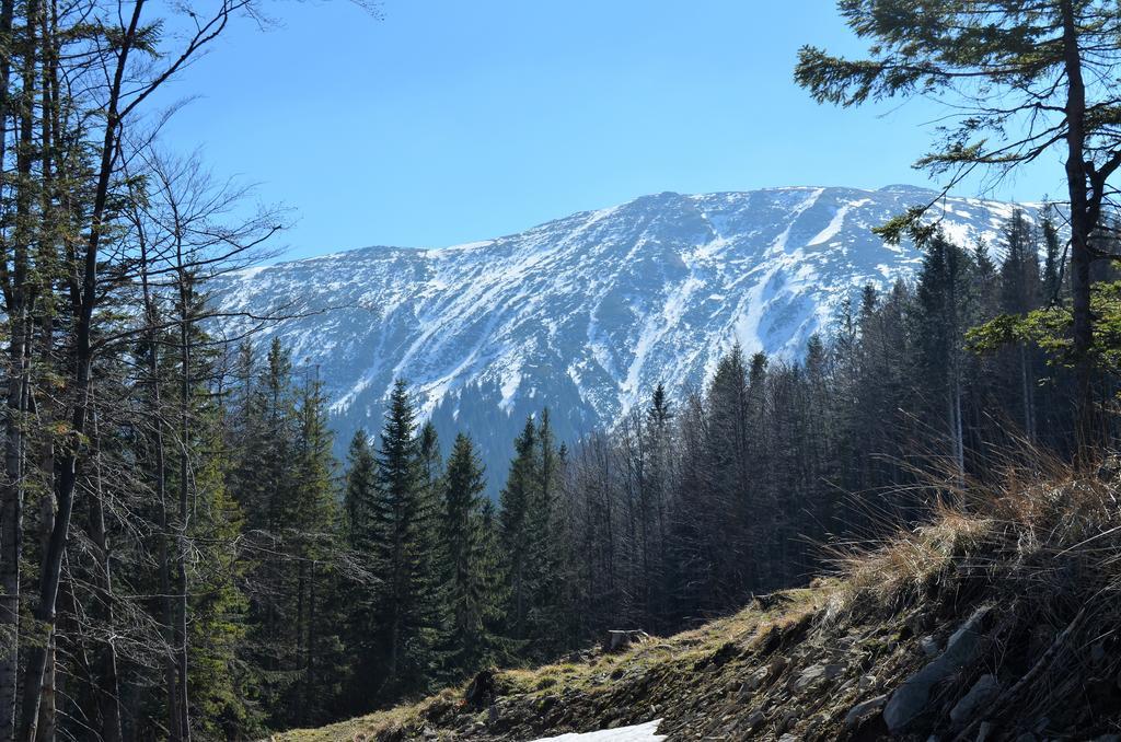 Dom Na Mosornym Groniu Zawoja Exterior foto